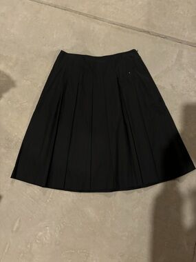 Banana Republic skirt